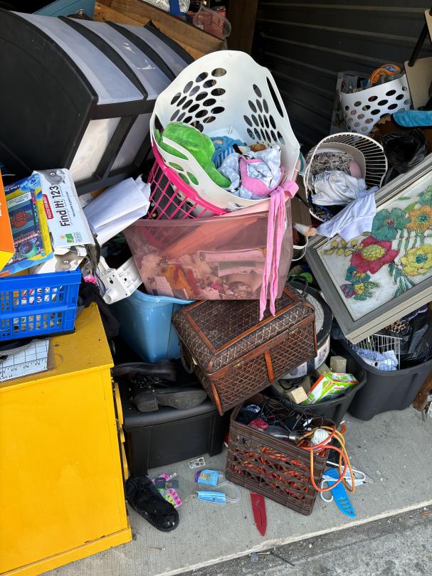 Storage Unit Auction in South Roxana, IL at Advantage SelfStorage